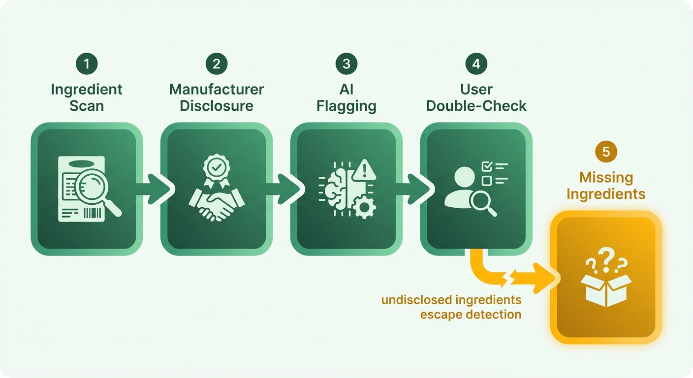 Process Flow Diagram