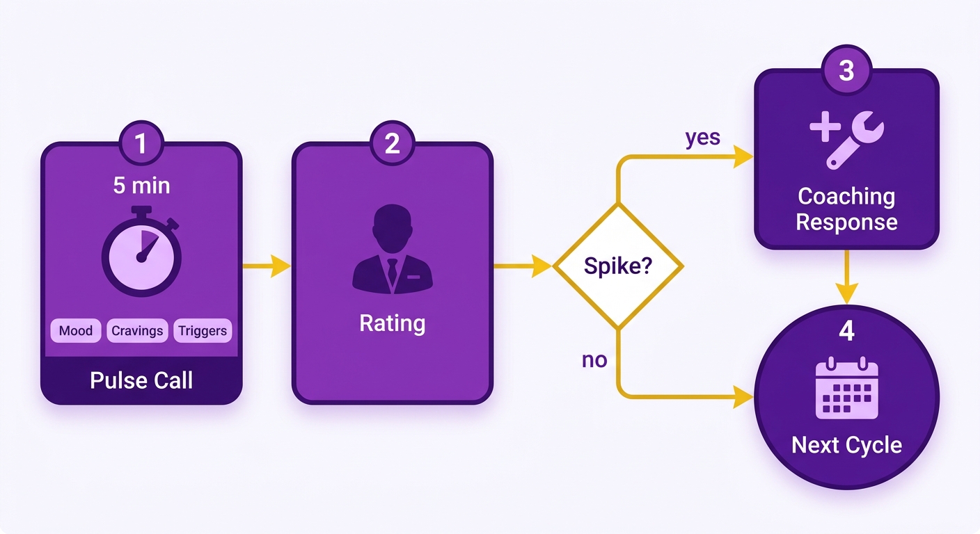 Process Flow Diagram