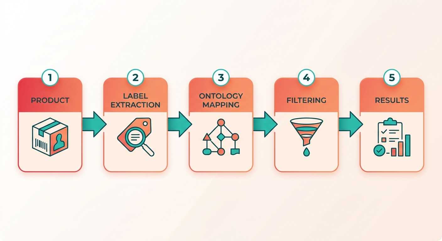 Process Flow Diagram