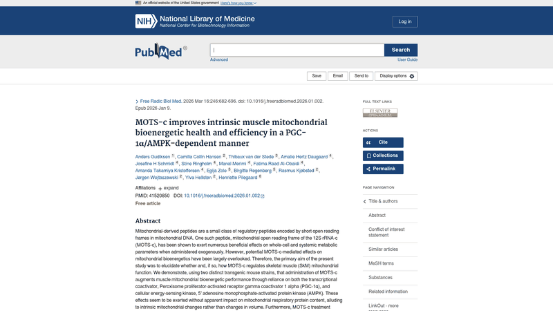 Screenshot: Screenshot of the PubMed abstract for the study “MOTS‑c improves intrinsic muscle mitochondrial bioenergetic health...”, including key findings and figure list.