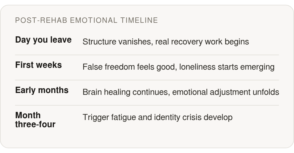 How it evolved: Day you leave Structure vanishes, real recovery work begins; First weeks False freedom feels good, loneliness starts emerging; Early months Brain healing continues, emotional adjustment unfolds; Month three‑four Trigger fatigue and id