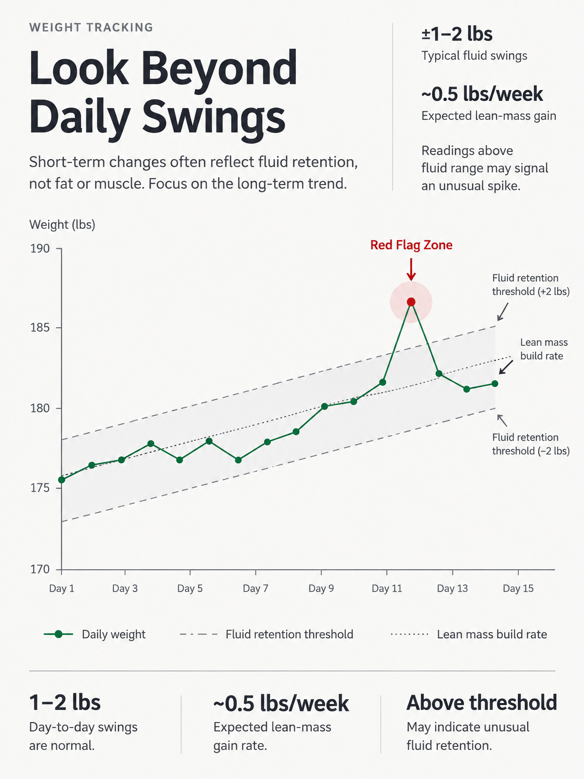 Infographic