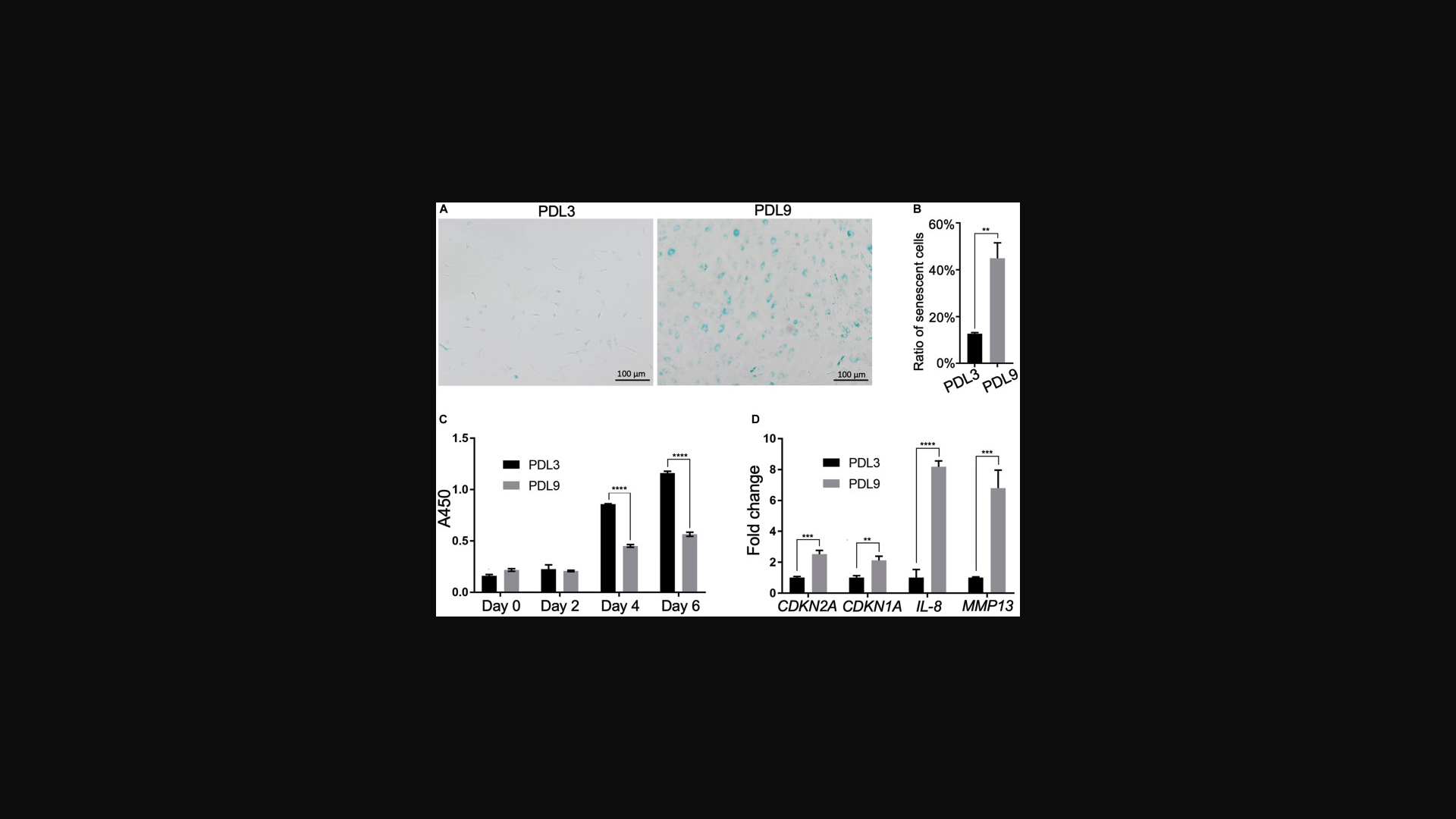 Screenshot: Figure showing FOXO4‑DRI selectively reduces senescent cell markers and SASP factors in cultured cells