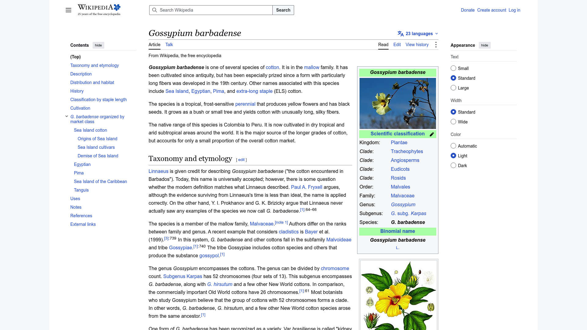 Screenshot: Wikipedia excerpt on Gossypium barbadense (Peruvian Pima cotton) highlighting its extra‑long staple fibers and luxury qualities.