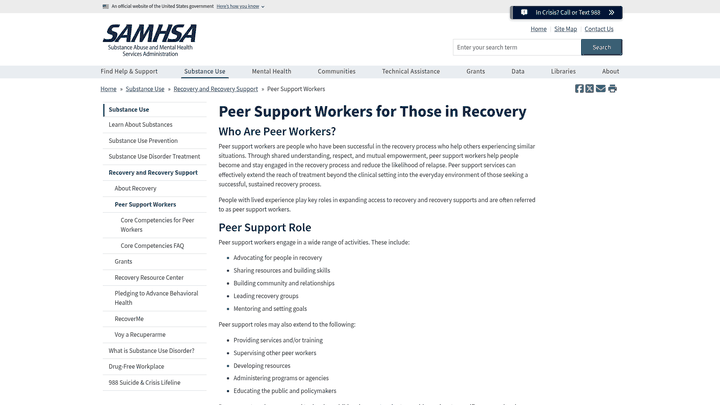 Screenshot: Peer support worker role and competencies, illustrating best‑practice standards for sober coaching.