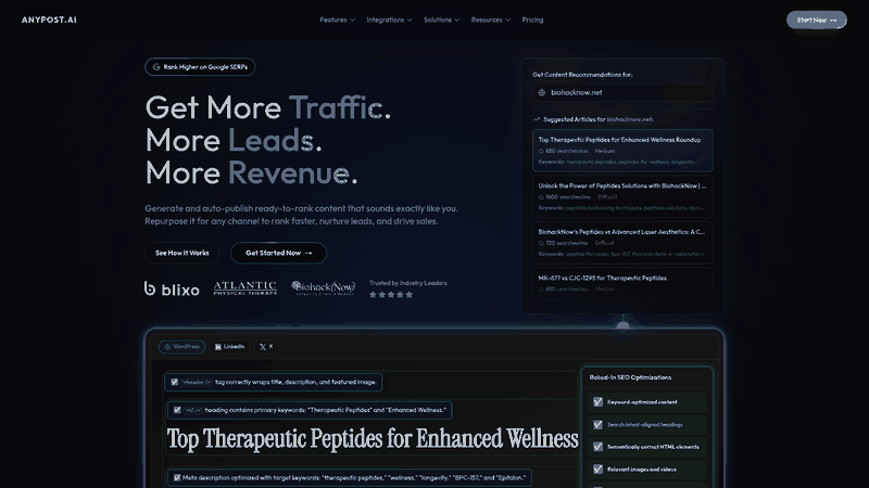 Screenshot: Homepage overview showing the brand’s AI‑driven content creation and SEO focus.