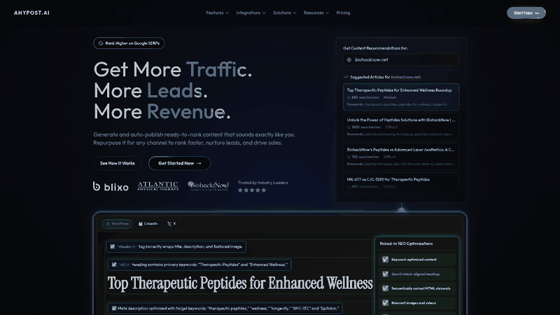 Screenshot: Homepage hero showcasing the platform’s automated content generation and SEO features.
