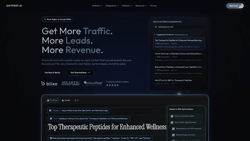 Screenshot: Homepage overview of AnyPost.ai platform